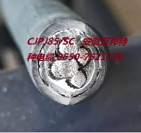 CJPJ85/SC  