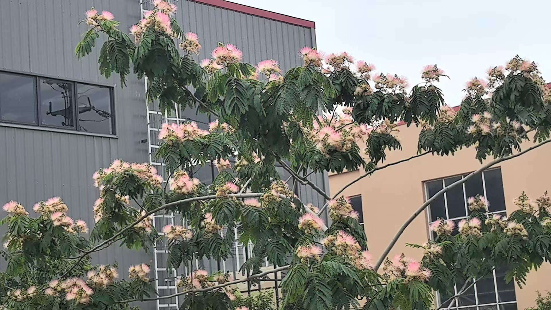 f3b23bfeea28748b888ab782d52ad3b