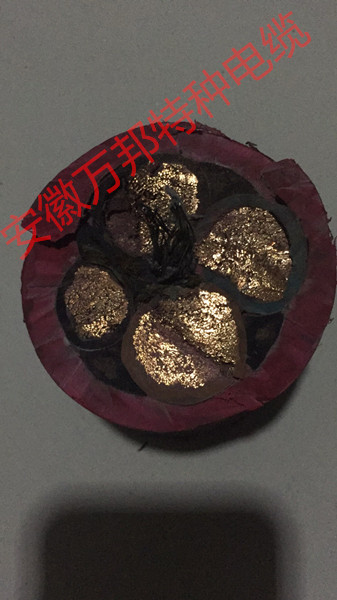 卷筒電纜，型號GC-JTCABLEG，規(guī)格10*2.5