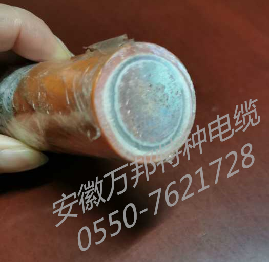 礦物絕緣電纜，BTTRZ