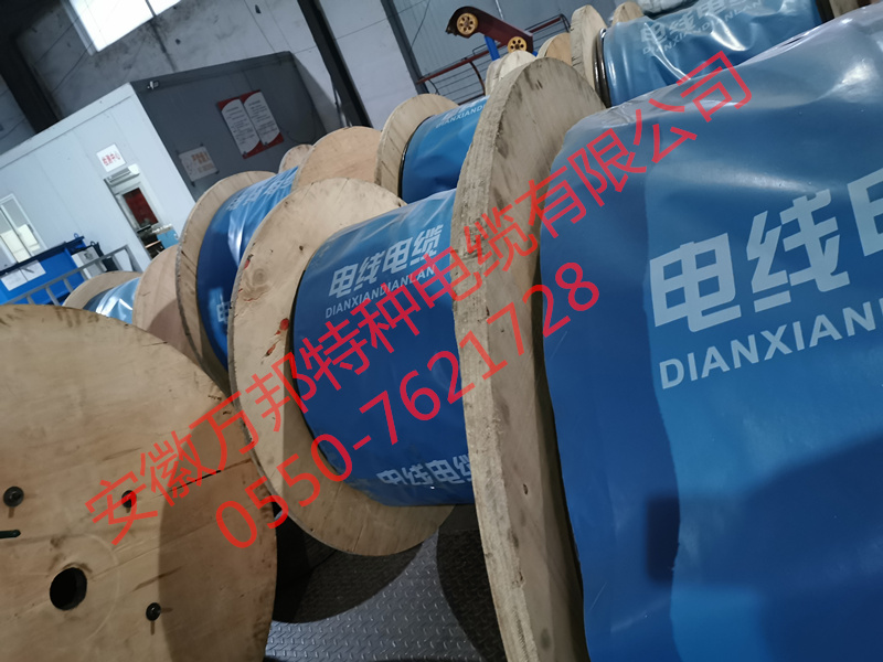 YFFB安徽萬(wàn)邦特種電纜