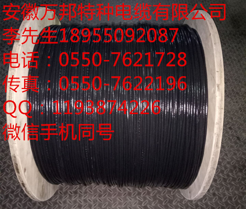 FSY-YJV22-2*4  FSY-YJV22-3*2.5 FSY-YJV22-4*10 安徽萬(wàn)邦特種電