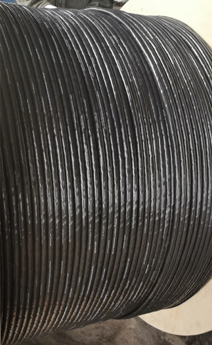 安徽萬邦特種電纜，型號，ZB-DJVP2VP2/22