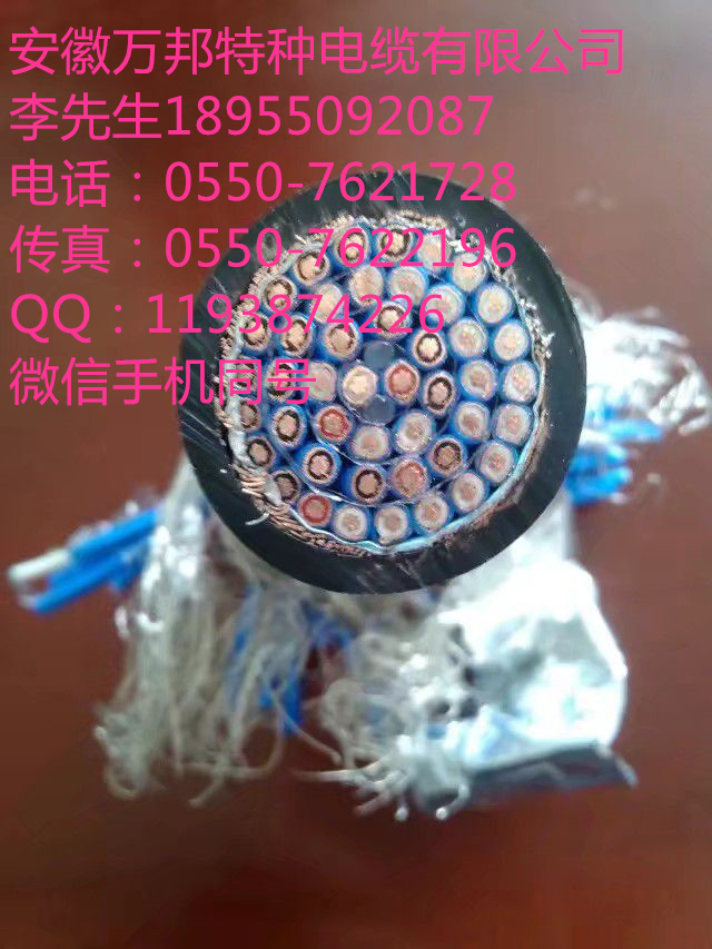 BP-YJVP 3*25+3*2.5 變頻電纜