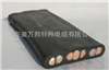 耐寒扁電纜